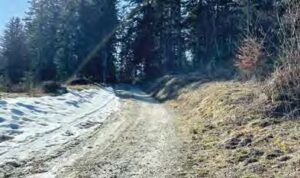 route forestière